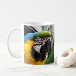 Blauw-gele ara koffiemok