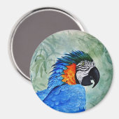 Blauw-gele Ara Magneet (Voorkant / Achterkant)