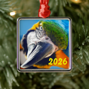 Blauw-gele Ara met Kop Scheef naar Opzij Metalen Ornament