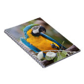 Blauw-gele Ara Notitieboek (Rechterzijde)