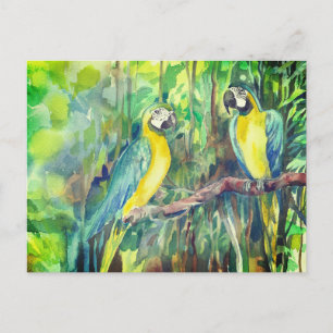 Blauw-gele ara's, vogel vrienden feestdagenkaart