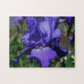 Blauw-gele Iris-ventilator Legpuzzel (Horizontaal)
