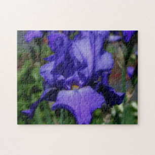 Blauw-gele Iris-ventilator Legpuzzel