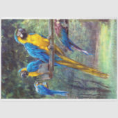 blauw-gele-macrowitpapier tissuepapier (Voorkant)