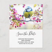 Blauw & gele vogelfoto Opslaan datum Uitnodiging Briefkaart (Voorkant)