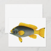 Blauw-gele Zeebaars, Vintage Zeeleven (Voorkant / Achterkant)