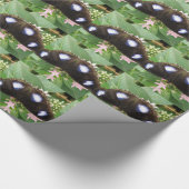 Blauw gepolijst vlinderbloemkool cadeaupapier (Hoek)
