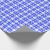 Blauw geruit cadeaupapier (Hoek)