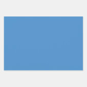 Blauw gestreept wit inpakpapier vel (Voorkant 2)