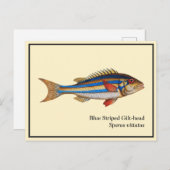 blauw gestreepte visschilfers met viskop briefkaart (Voorkant / Achterkant)