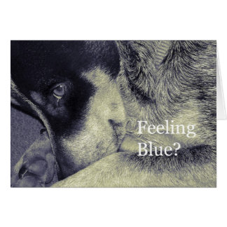Blauw gevoel