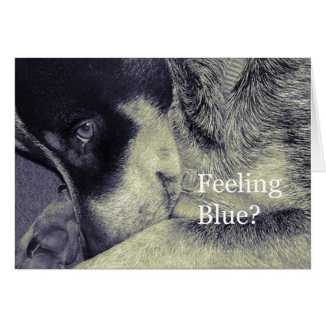 Blauw gevoel (Voorkant Horizontaal)