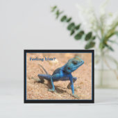 Blauw gevoel krijgt goede kaart (Staand voorkant)