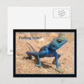 Blauw gevoel krijgt goede kaart (Voorkant / Achterkant)