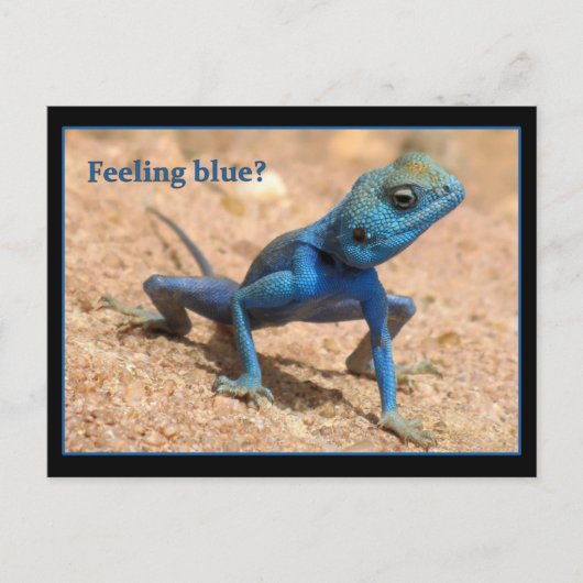 Blauw gevoel krijgt goede kaart (Voorkant)