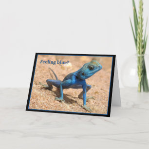 Blauw gevoel krijgt goede kaart