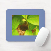 Blauw Gewikkeld Kolibrinest Muismat (Met muis)
