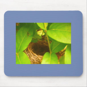 Blauw Gewikkeld Kolibrinest Muismat