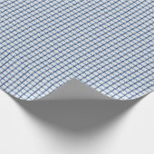 Blauw Gingham Cadeaupapier (Hoek)