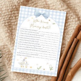Blauw Gingham Dwaze Gans Shower Wie Weet Spel