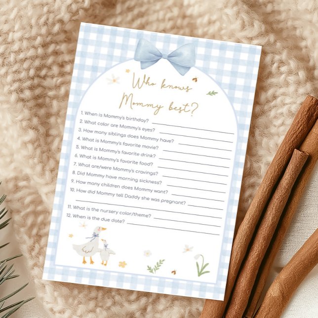 Blauw Gingham Dwaze Gans Shower Wie Weet Spel (silly Goose Baby Shower Game)