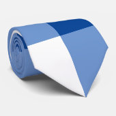 Blauw gingham patroon stropdas (Opgerold)