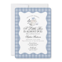 Blauw Gingham Preppy Geest Little Boo Baby Shower