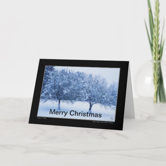 Blauw glas en winterappels kerstkaart kaart (Voorkant)