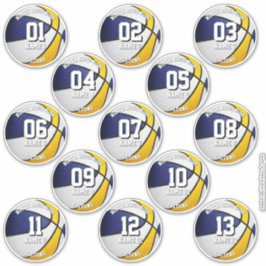 Blauw Goud Basketballen Aangepaste 13 spelers name Sticker