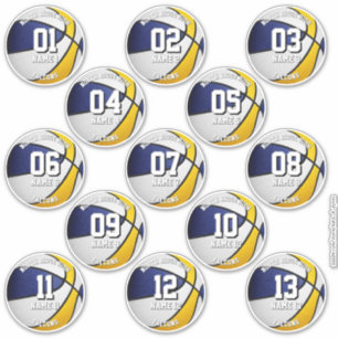 Blauw Goud Basketballen Aangepaste 13 spelers name Sticker