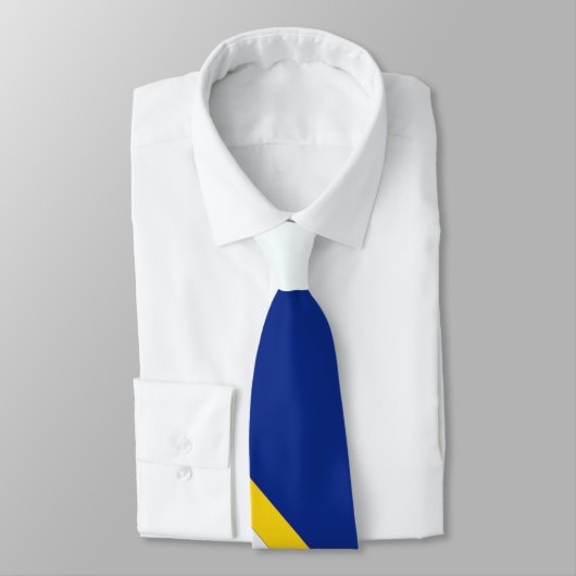 Blauw goud en witte gestreepte nekstropdas. stropdas (Gebonden)