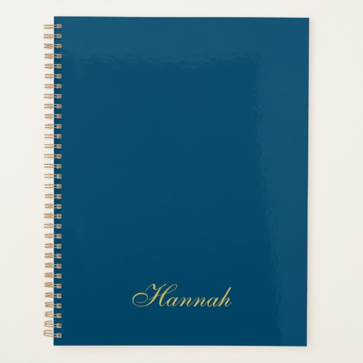 Blauw Goud Professionele Trendy Minimalistische Na Planner (Voorkant)