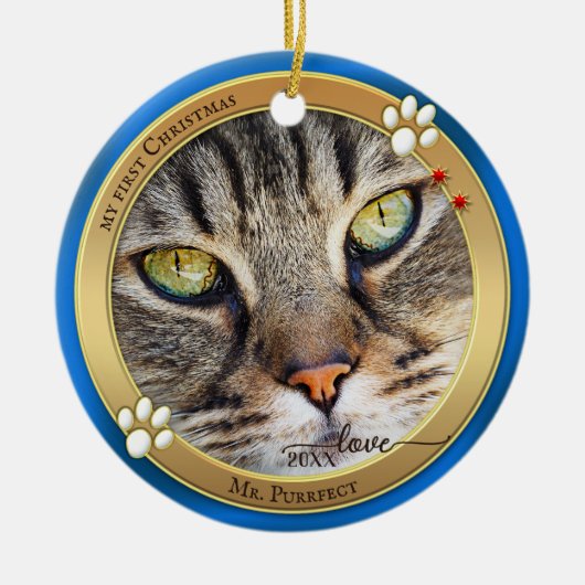 Blauw Gouden Cute Kat Foto Ornament (Voorkant)