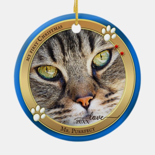 Blauw Gouden Cute Kat Foto Ornament (Achterkant)