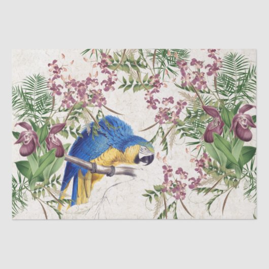 Blauw gouden Macaw Bird Orchid Flower Paper Tissuepapier (Voorkant)