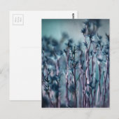 Blauw Gras Briefkaart (Voorkant / Achterkant)