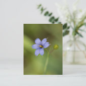 Blauw gras Wildbloem Briefkaart (Staand voorkant)
