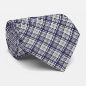 Blauw Grijs Geruit Herenoverhemd Das (Opgerold)