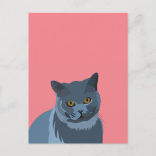 Blauw Grijs Kat Lover Briefkaart