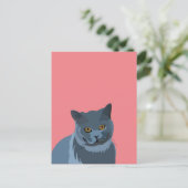 Blauw Grijs Kat Lover Briefkaart (Staand voorkant)