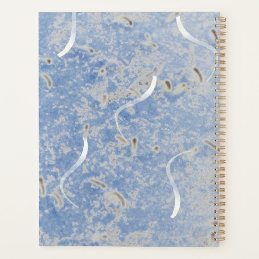 Blauw & Grijs Marmer Gepersonaliseerd Planner (Achterkant)