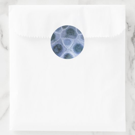 Blauw Grijs Petoskey Stone Stickers (Tas)