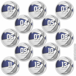 Blauw Grijs Team Kleuren 13 Basketbal spelers Name Sticker