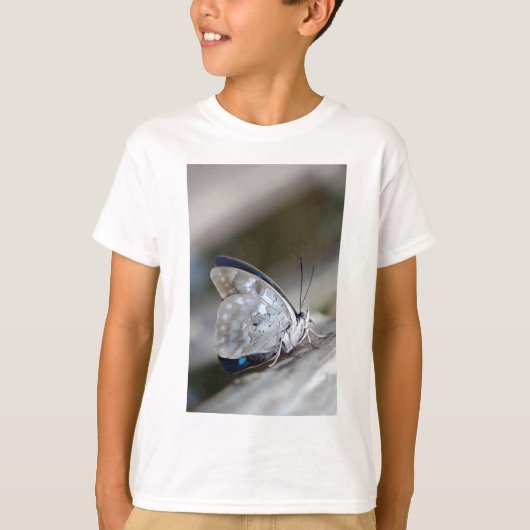 Blauw Grijze Vlinder T-shirt (Voorkant)