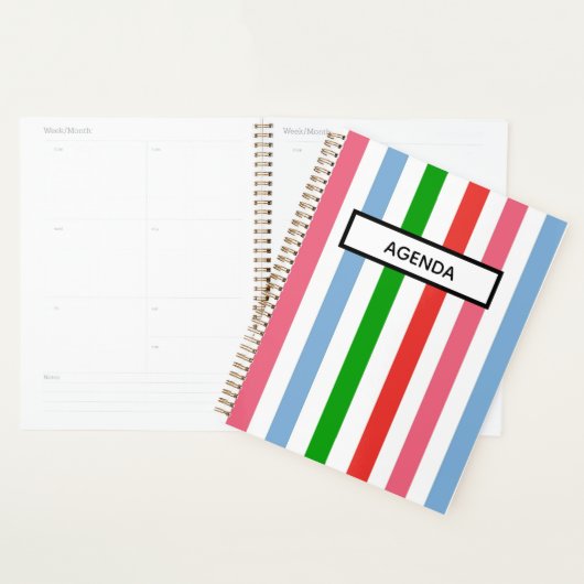 Blauw groen en roze gestreept planner (Display)