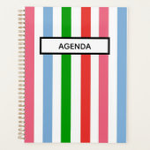 Blauw groen en roze gestreept planner (Voorkant)