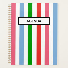 Blauw groen en roze gestreept planner