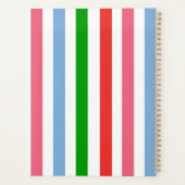 Blauw groen en roze gestreept planner (Achterkant)