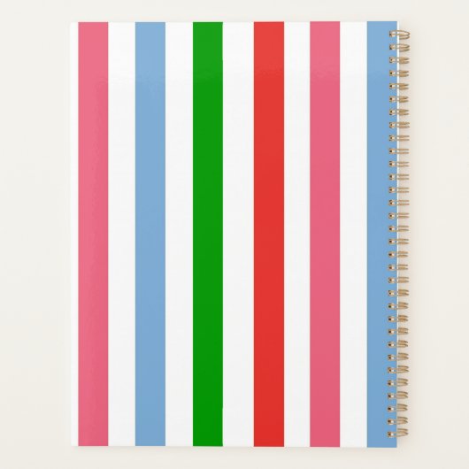 Blauw groen en roze gestreept planner (Achterkant)