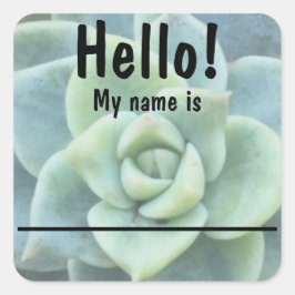 Blauw Groen Succulent Naam tag Stickers